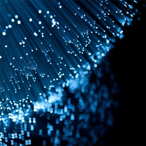 Opinion: The fibre dilemma