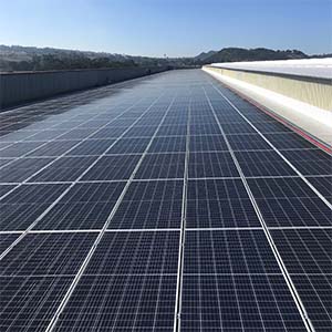 Coca-Cola taps into SA sunshine