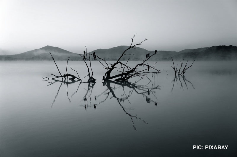 Climate change: Is enough being done to preserve water?