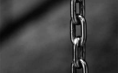 Blockchain fatigue set to hit the supply chain?
