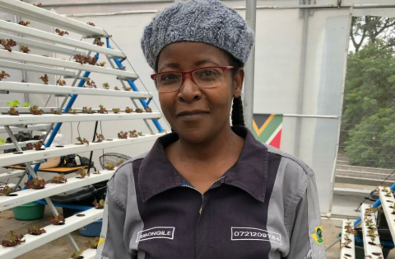Agri-business: Rooftop farms next big thing?