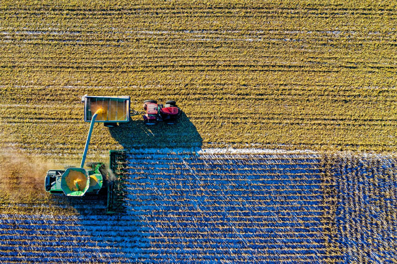 African farmers at heart of tomorrow’s global economy