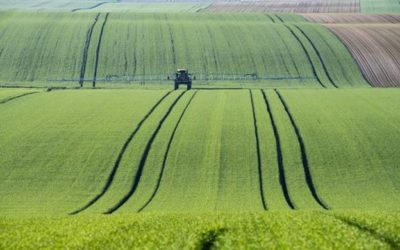 Major leapfrog for Algeria with WING agritech solution