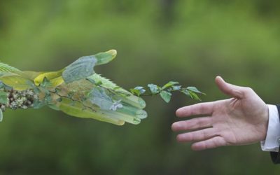 Prioritise sustainable practices or risk climate crisis complicity