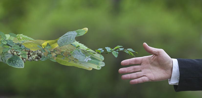 Matter of time until everyone must choose environmentally friendlier options