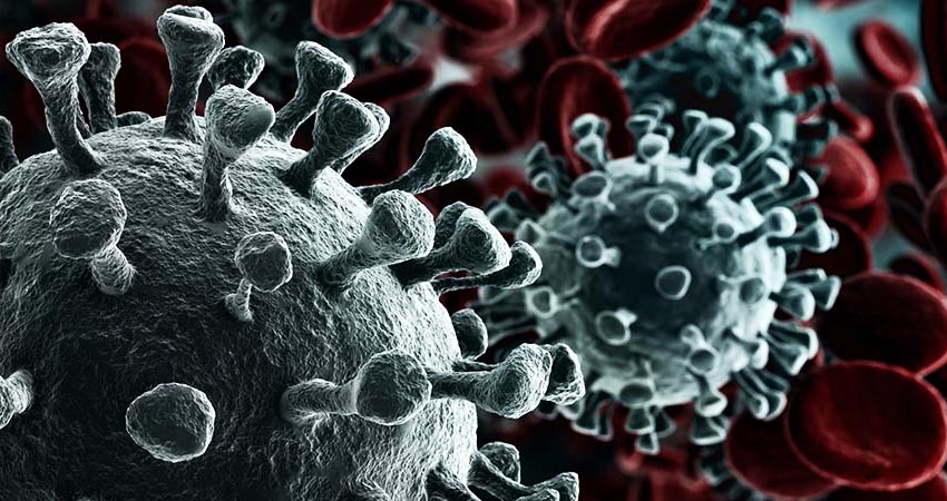 Online training in the bid to fight coronavirus