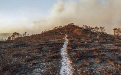 Climate change review: Humbling lessons from Australia