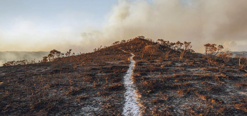 Climate change review: Humbling lessons from Australia