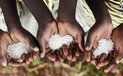 Africa has technology, innovation to achieve zero hunger
