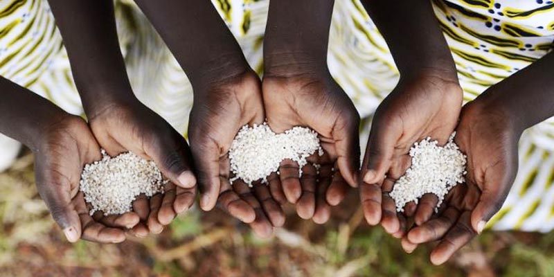 Data-driven agriculture can solve challenge of food security in Africa