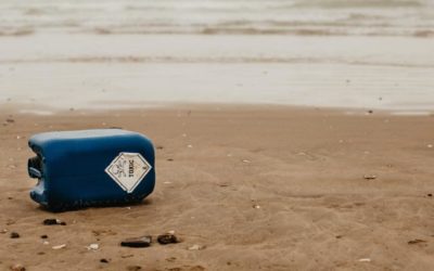 How much more can our environment take?