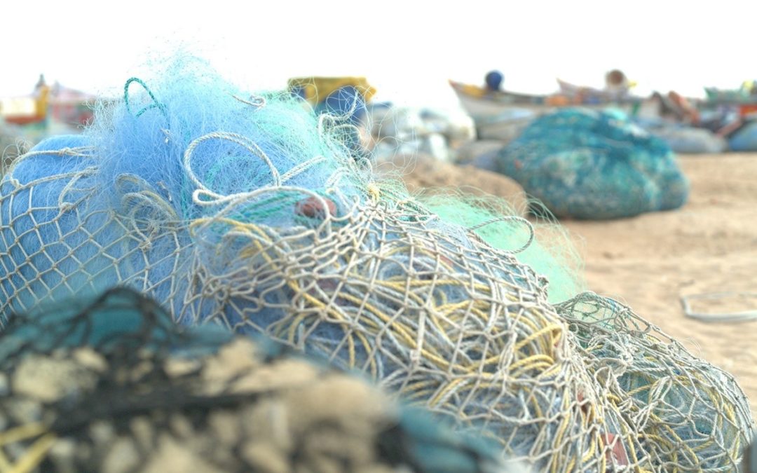 Sustainability plus innovation: Samsung repurposes discarded fishing nets